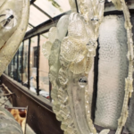 /// via trota 9 -  #verona /// >> design • modernariato • progettazione • eventi...