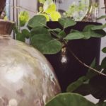 VI ASPETTIAMO QUESTA SERA // 15.06.17 || ...